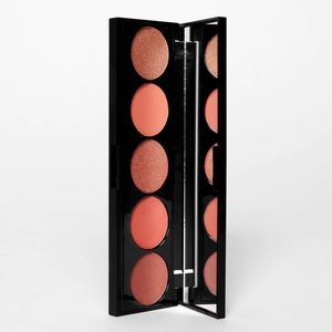 NWT Laritzy ARTISTRY PALETTE IN BURNT